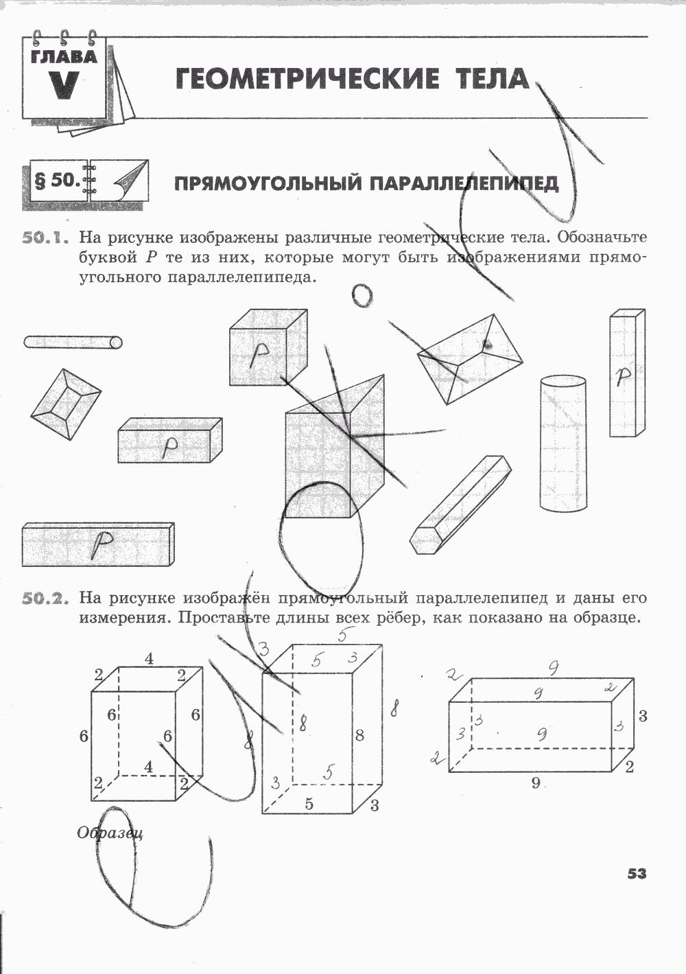 Рабочая тетрадь Часть 2, 5 класс, И.И. Зубарева, 2012, задание: Стр. 53