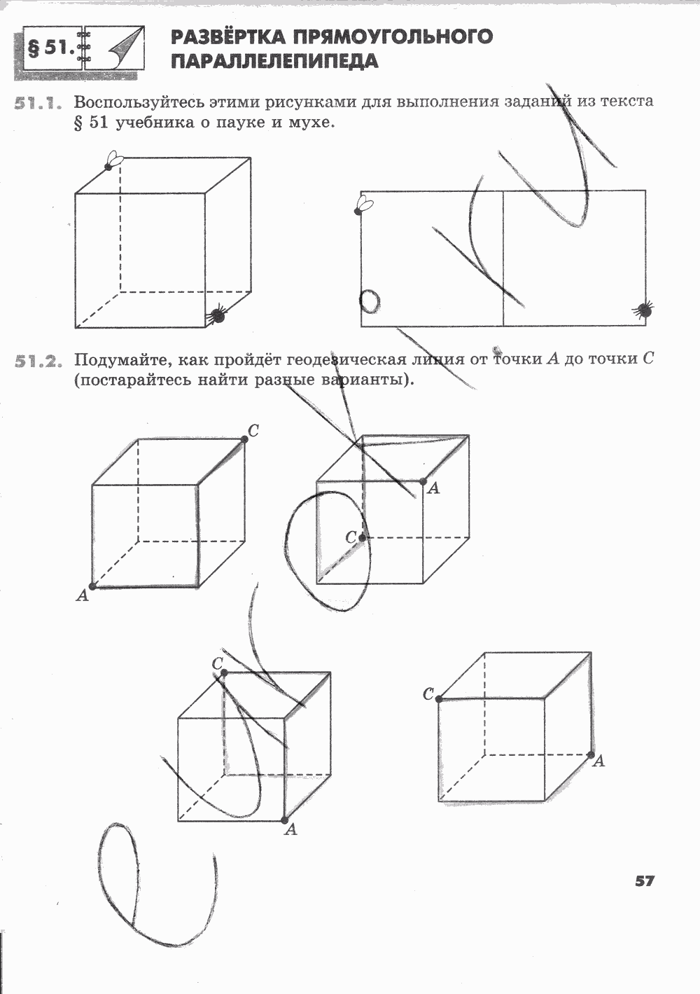 Рабочая тетрадь Часть 2, 5 класс, И.И. Зубарева, 2012, задание: Стр. 57