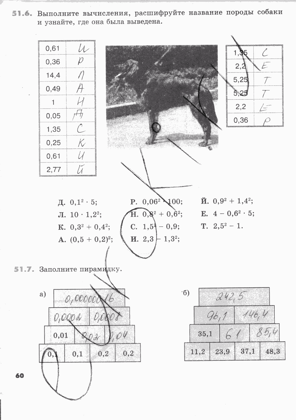 Рабочая тетрадь Часть 2, 5 класс, И.И. Зубарева, 2012, задание: Стр. 60