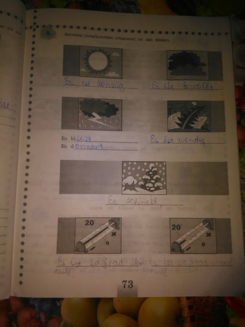 Рабочая тетрадь, 5 класс, Бим И. Л., Рыжова Л. И., 2015, задание: стр. 73