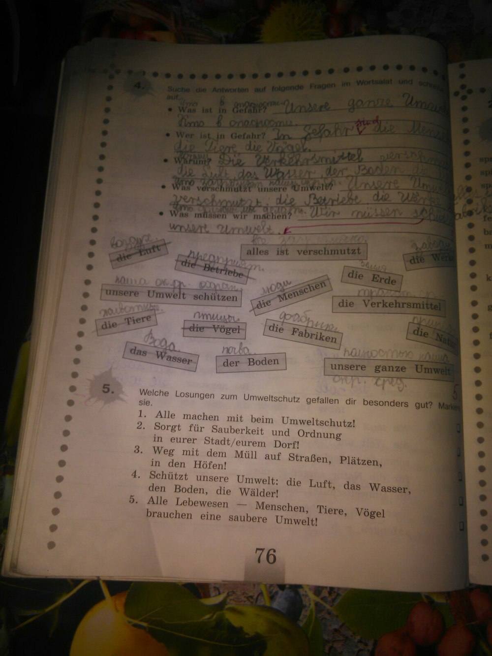 Рабочая тетрадь, 5 класс, Бим И. Л., Рыжова Л. И., 2015, задание: стр. 76