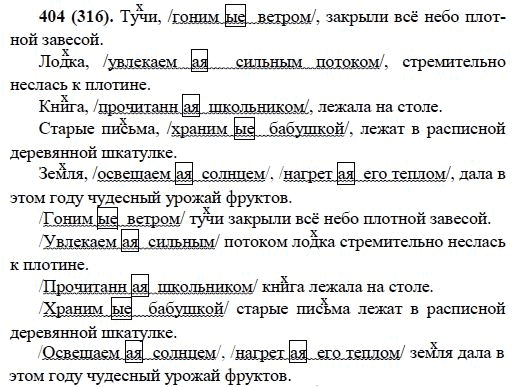 Русский язык, 6 класс, М.М. Разумовская, 2009 - 2011, задача: 404(316)