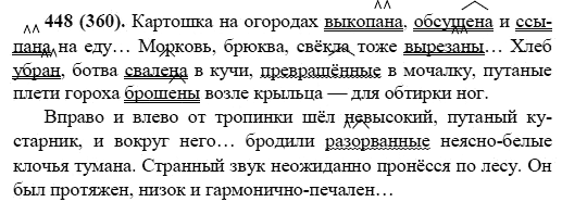 Русский язык, 6 класс, М.М. Разумовская, 2009 - 2011, задача: 448(360)