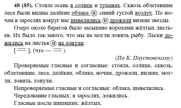 Русский язык, 6 класс, М.М. Разумовская, 2009 - 2011, задача: 48(85)