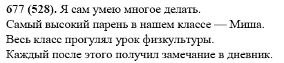 Русский язык, 6 класс, М.М. Разумовская, 2009 - 2011, задача: 677(528)