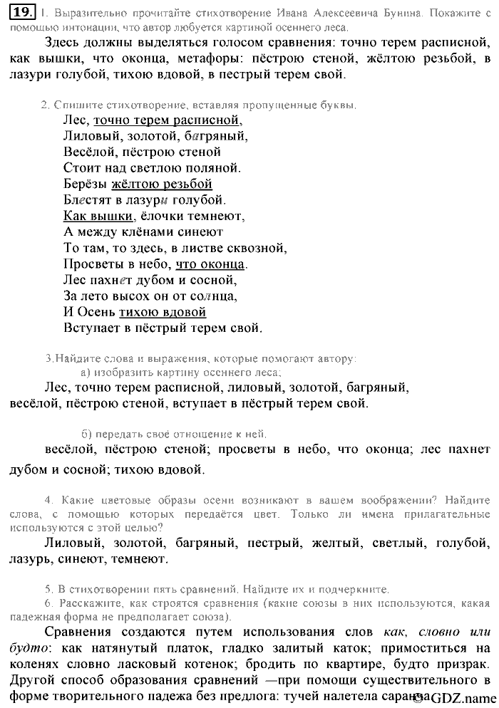 Русский язык, 6 класс, Разумовская, Львова, 2013, задача: 19