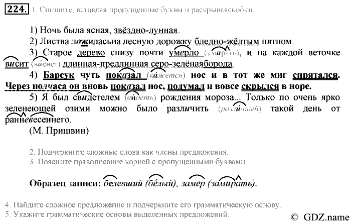 Русский язык, 6 класс, Разумовская, Львова, 2013, задача: 224