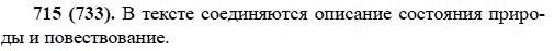 Русский язык, 6 класс, М.М. Разумовская, 2009 - 2012, задание: 715(733)