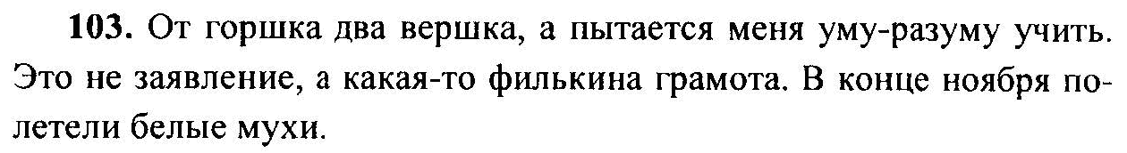Русский язык, 6 класс, М.Т. Баранов, Л.А. Тростенцова, Т.А. Ладыженская, 2011, задание: 103