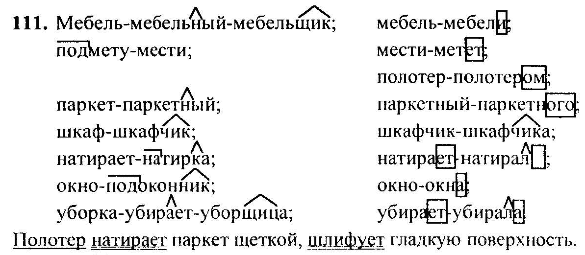 Русский язык, 6 класс, М.Т. Баранов, Л.А. Тростенцова, Т.А. Ладыженская, 2011, задание: 111