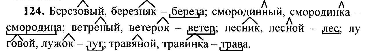 Русский язык, 6 класс, М.Т. Баранов, Л.А. Тростенцова, Т.А. Ладыженская, 2011, задание: 124