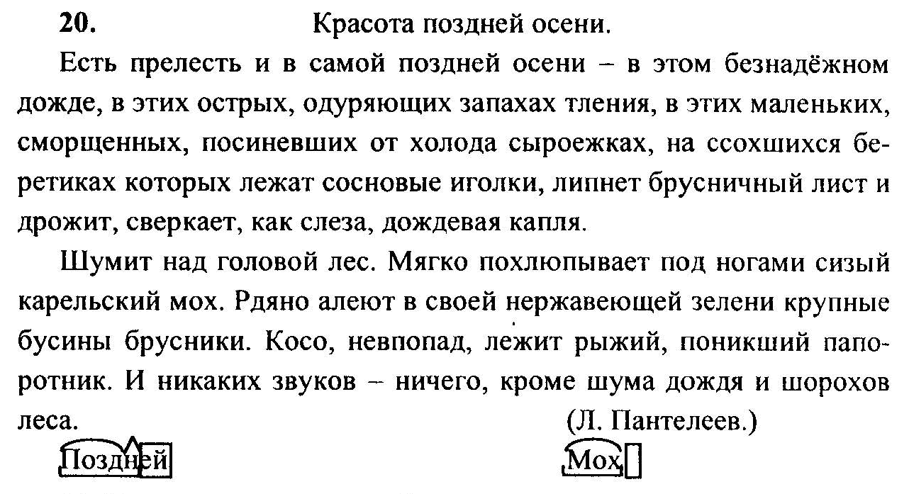 Русский язык, 6 класс, М.Т. Баранов, Л.А. Тростенцова, Т.А. Ладыженская, 2011, задание: 20