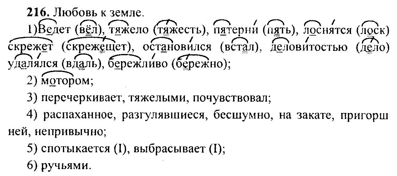 Русский язык, 6 класс, М.Т. Баранов, Л.А. Тростенцова, Т.А. Ладыженская, 2011, задание: 216