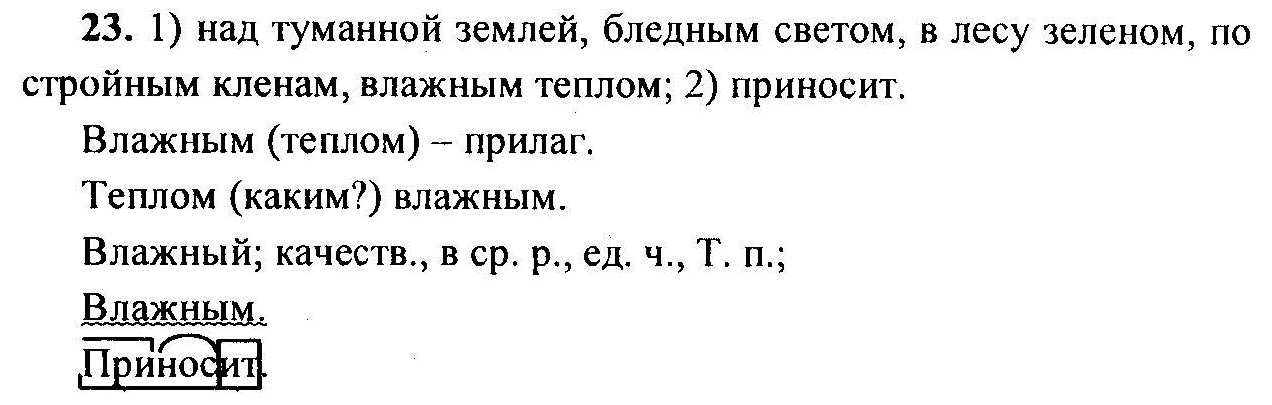 Русский язык, 6 класс, М.Т. Баранов, Л.А. Тростенцова, Т.А. Ладыженская, 2011, задание: 23