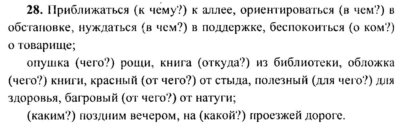 Русский язык, 6 класс, М.Т. Баранов, Л.А. Тростенцова, Т.А. Ладыженская, 2011, задание: 28