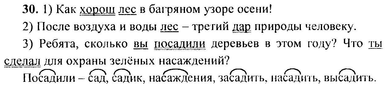 Русский язык 6 класс номер 557