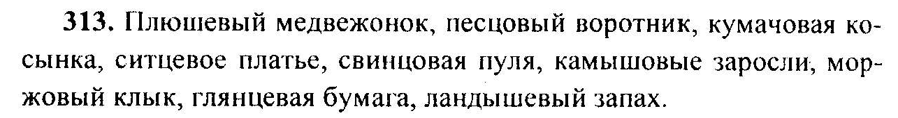 Русский язык, 6 класс, М.Т. Баранов, Л.А. Тростенцова, Т.А. Ладыженская, 2011, задание: 313