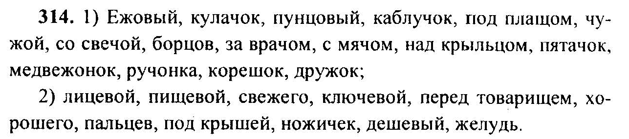 Русский язык, 6 класс, М.Т. Баранов, Л.А. Тростенцова, Т.А. Ладыженская, 2011, задание: 314