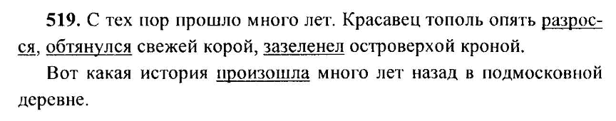 Русский язык, 6 класс, М.Т. Баранов, Л.А. Тростенцова, Т.А. Ладыженская, 2011, задание: 519