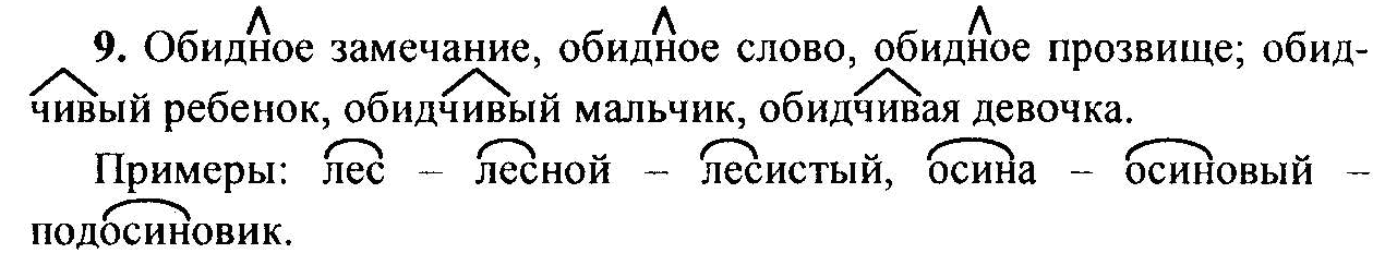 Русский язык, 6 класс, М.Т. Баранов, Л.А. Тростенцова, Т.А. Ладыженская, 2011, задание: 9