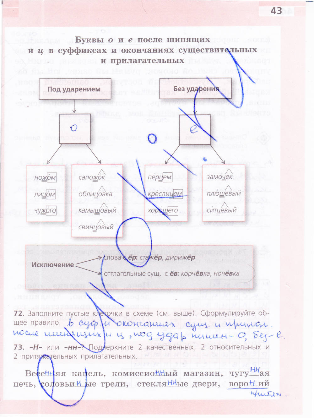Рабочая тетрадь, 6 класс, Ефремова Е.А., 2012, задание: стр. 43