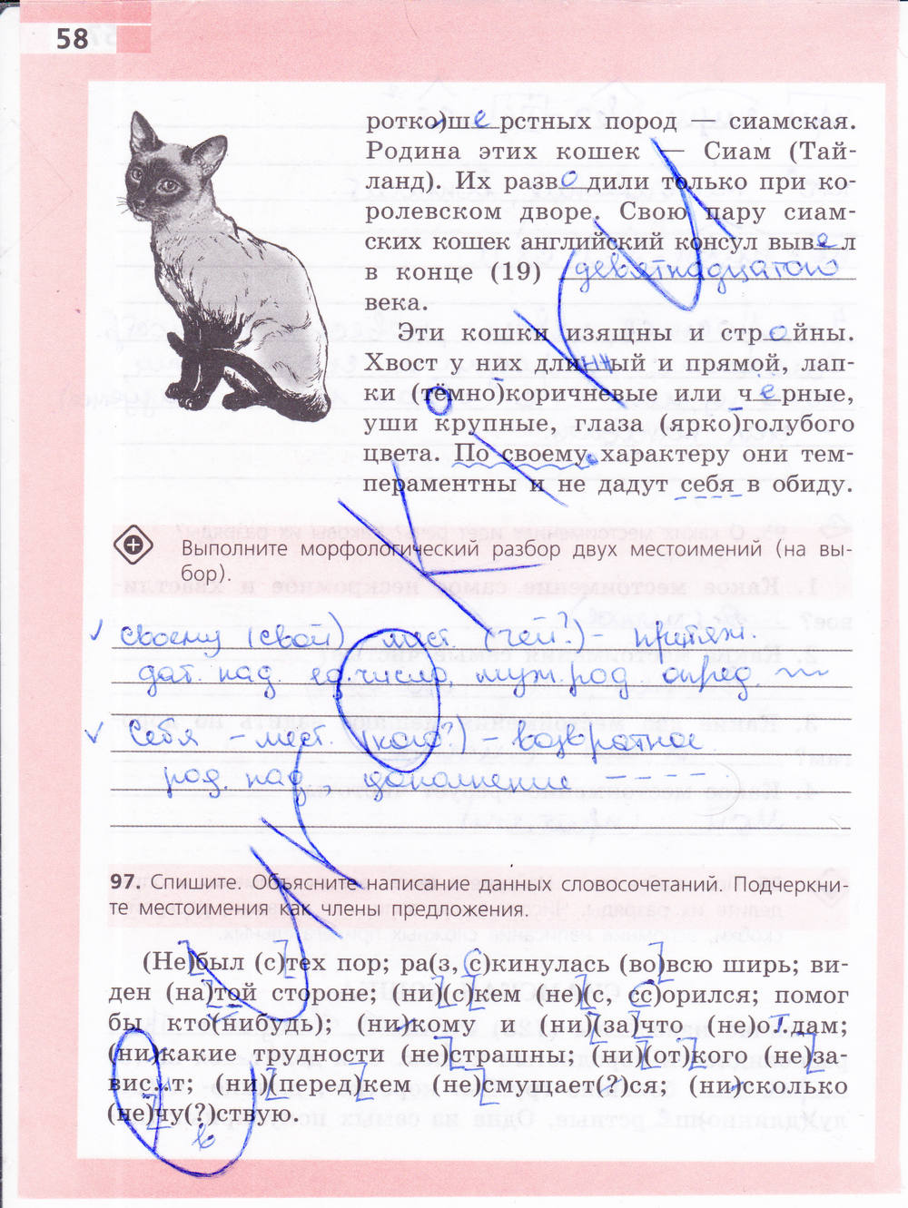 Рабочая тетрадь, 6 класс, Ефремова Е.А., 2012, задание: стр. 58