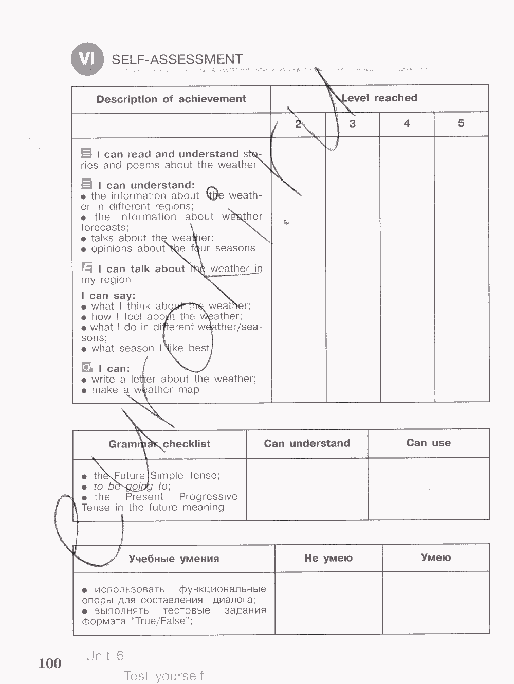 Activity book, 6 класс, Кузовлев, Лапа, 2015, задание: стр. 100