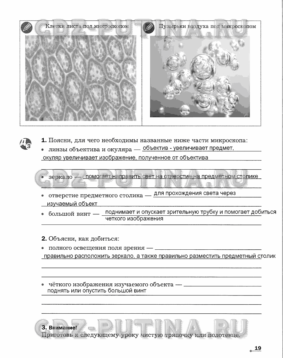 Рабочая тетрадь. Часть 1, 6 класс, Сухова Т.С., Строганов В. И., 2013 - 2015, задание: 19