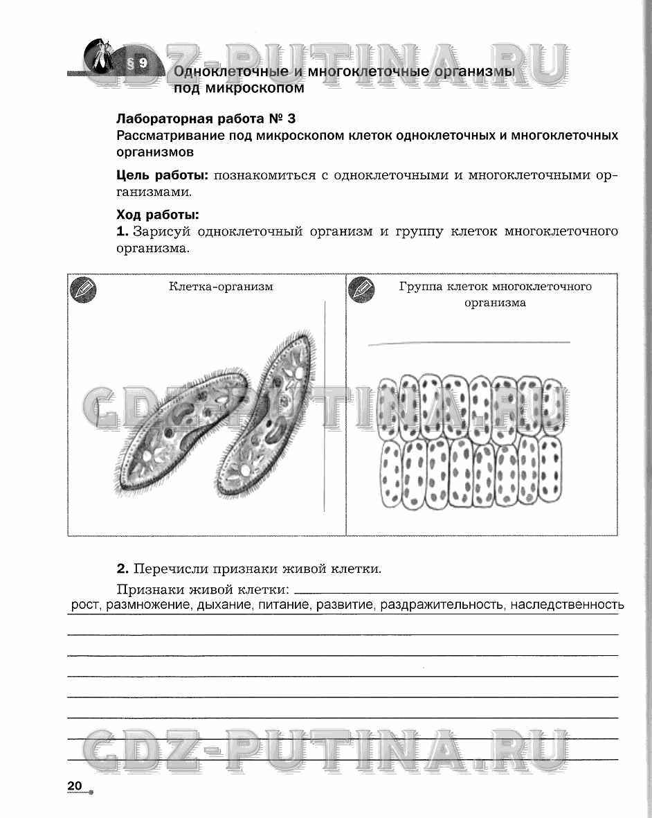 Рабочая тетрадь. Часть 1, 6 класс, Сухова Т.С., Строганов В. И., 2013 - 2015, задание: 20