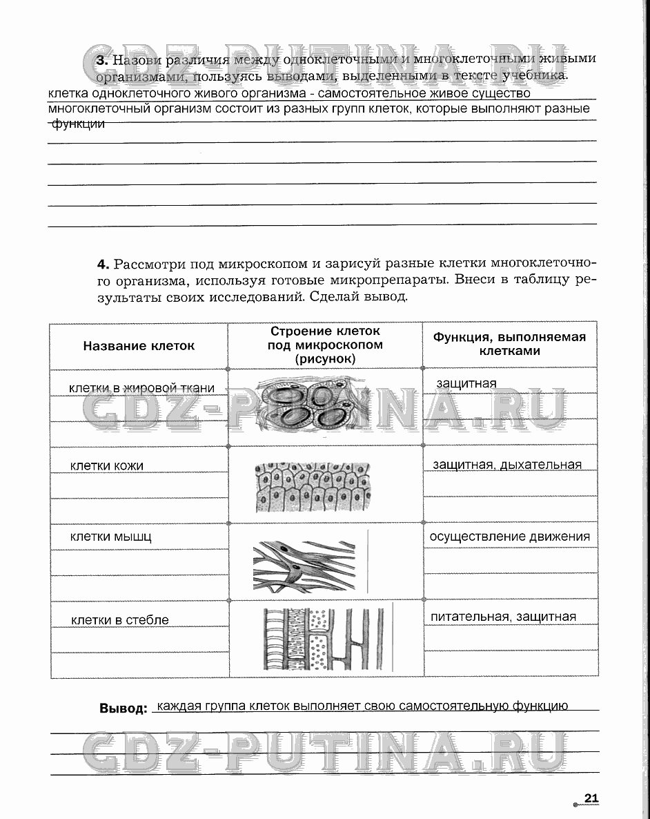 Рабочая тетрадь. Часть 1, 6 класс, Сухова Т.С., Строганов В. И., 2013 - 2015, задание: 21
