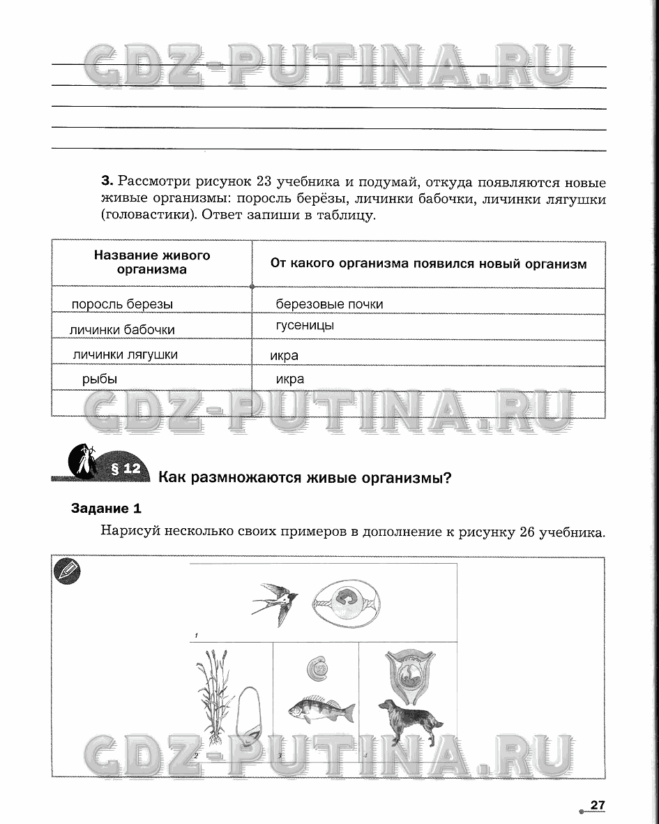 Рабочая тетрадь. Часть 1, 6 класс, Сухова Т.С., Строганов В. И., 2013 - 2015, задание: 27