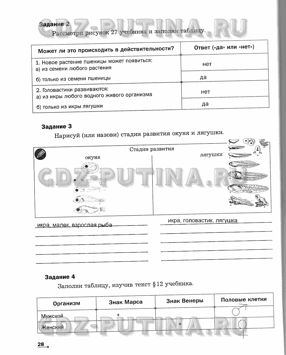 Рабочая тетрадь. Часть 1, 6 класс, Сухова Т.С., Строганов В. И., 2013 - 2015, задание: 28