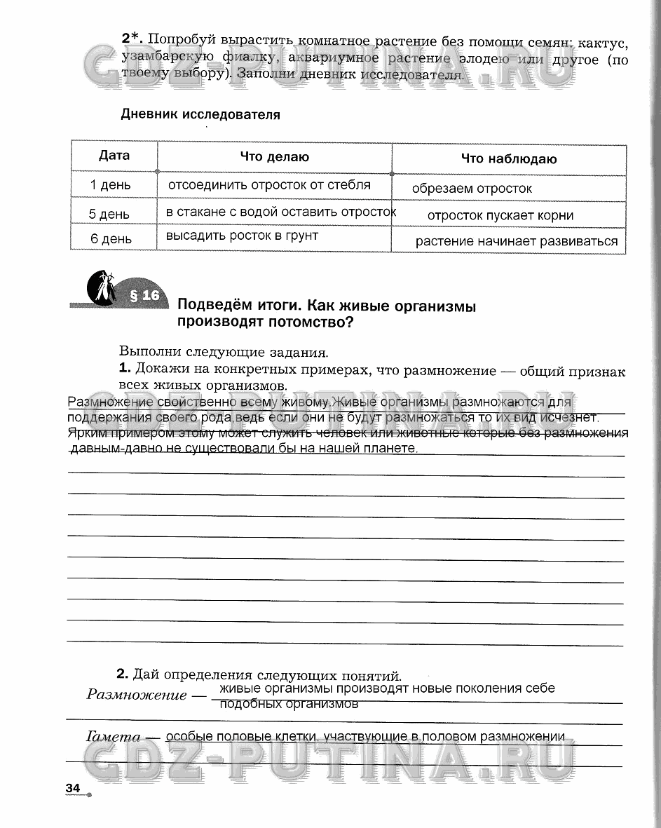 Рабочая тетрадь. Часть 1, 6 класс, Сухова Т.С., Строганов В. И., 2013 - 2015, задание: 34