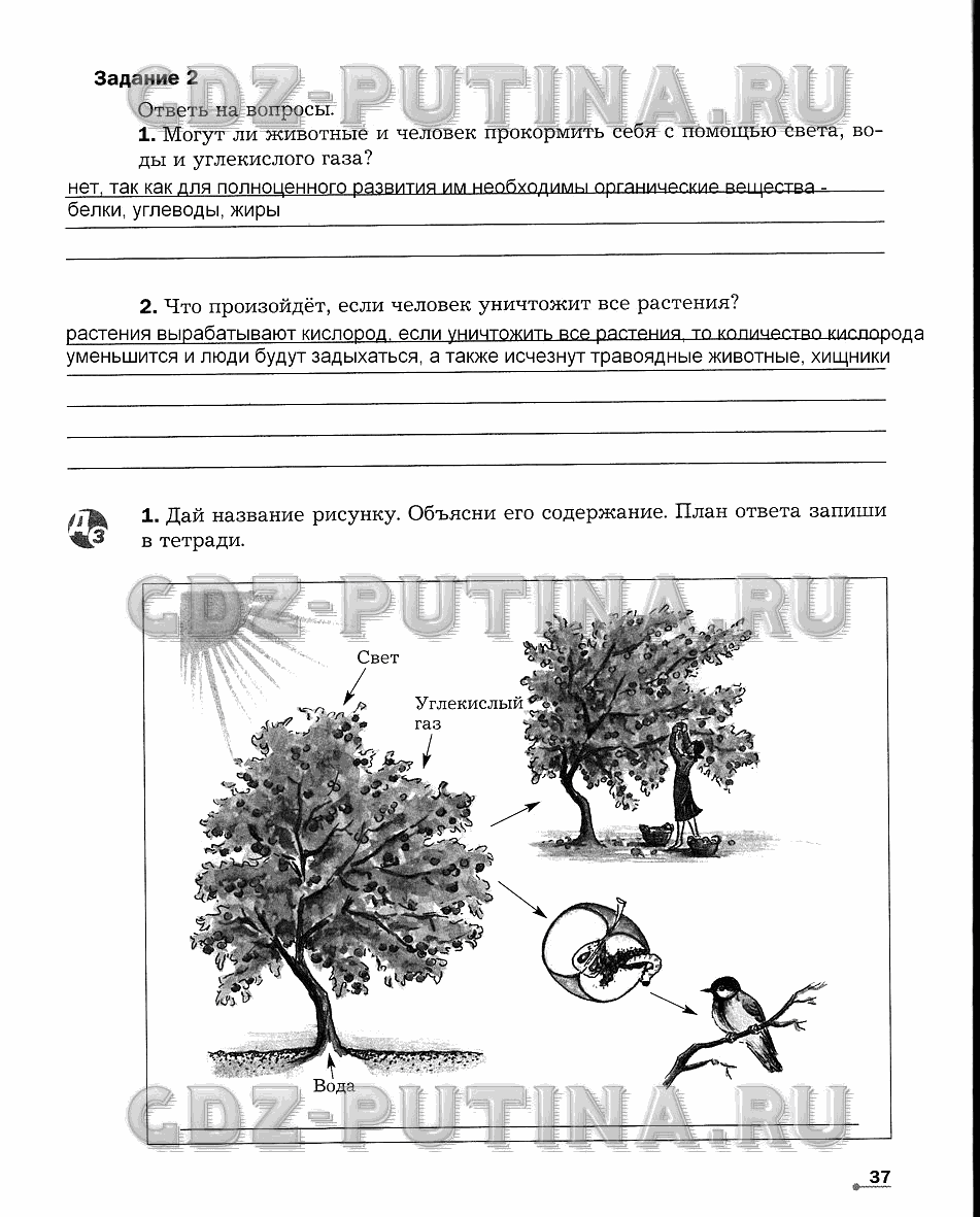 Рабочая тетрадь. Часть 1, 6 класс, Сухова Т.С., Строганов В. И., 2013 - 2015, задание: 37