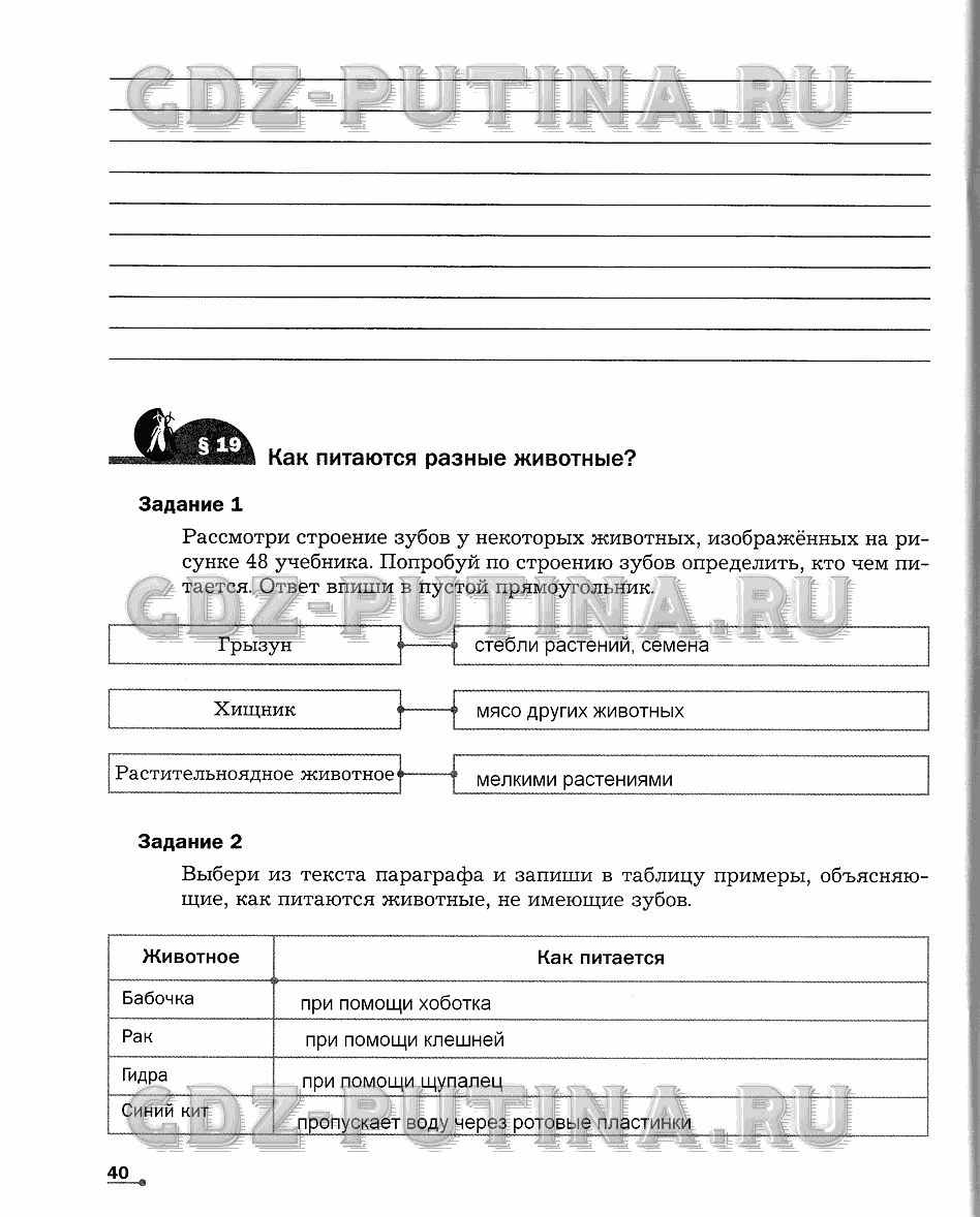 Рабочая тетрадь. Часть 1, 6 класс, Сухова Т.С., Строганов В. И., 2013 - 2015, задание: 40