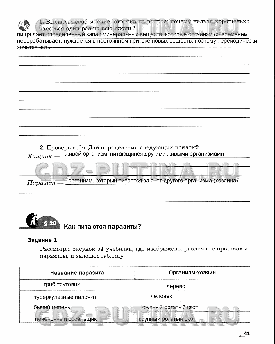 Рабочая тетрадь. Часть 1, 6 класс, Сухова Т.С., Строганов В. И., 2013 - 2015, задание: 41