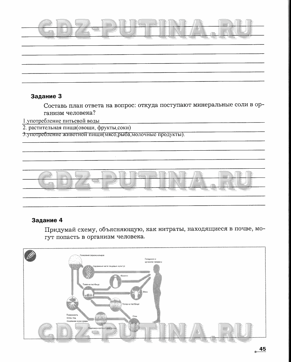 Рабочая тетрадь. Часть 1, 6 класс, Сухова Т.С., Строганов В. И., 2013 - 2015, задание: 45