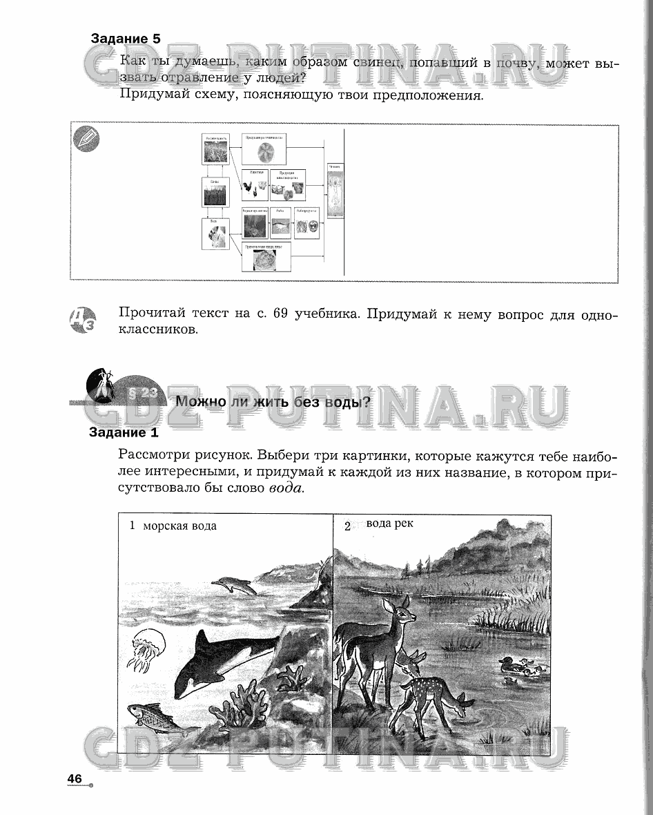 Рабочая тетрадь. Часть 1, 6 класс, Сухова Т.С., Строганов В. И., 2013 - 2015, задание: 46