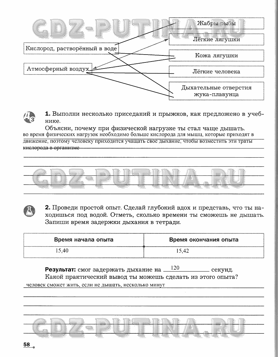 Рабочая тетрадь. Часть 1, 6 класс, Сухова Т.С., Строганов В. И., 2013 - 2015, задание: 58