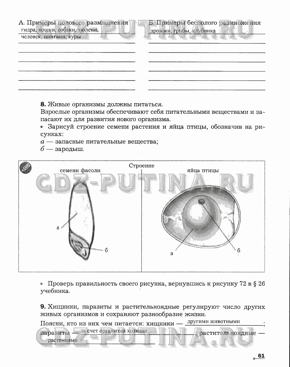 Рабочая тетрадь. Часть 1, 6 класс, Сухова Т.С., Строганов В. И., 2013 - 2015, задание: 61