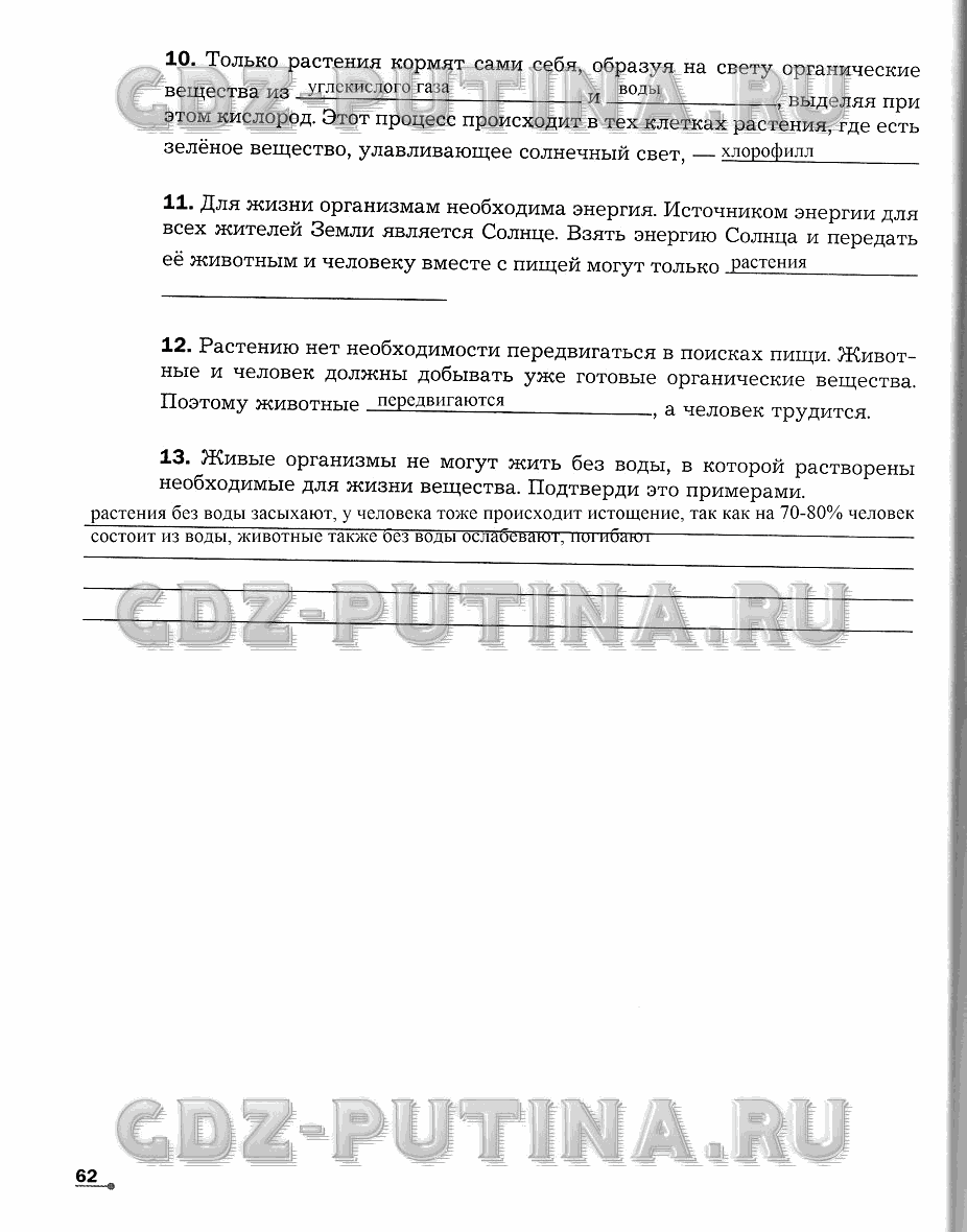 Рабочая тетрадь. Часть 1, 6 класс, Сухова Т.С., Строганов В. И., 2013 - 2015, задание: 62
