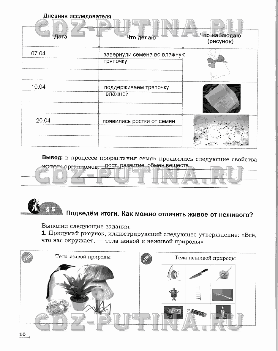 Рабочая тетрадь. Часть 1, 6 класс, Сухова Т.С., Строганов В. И., 2013 - 2015, задание: 10