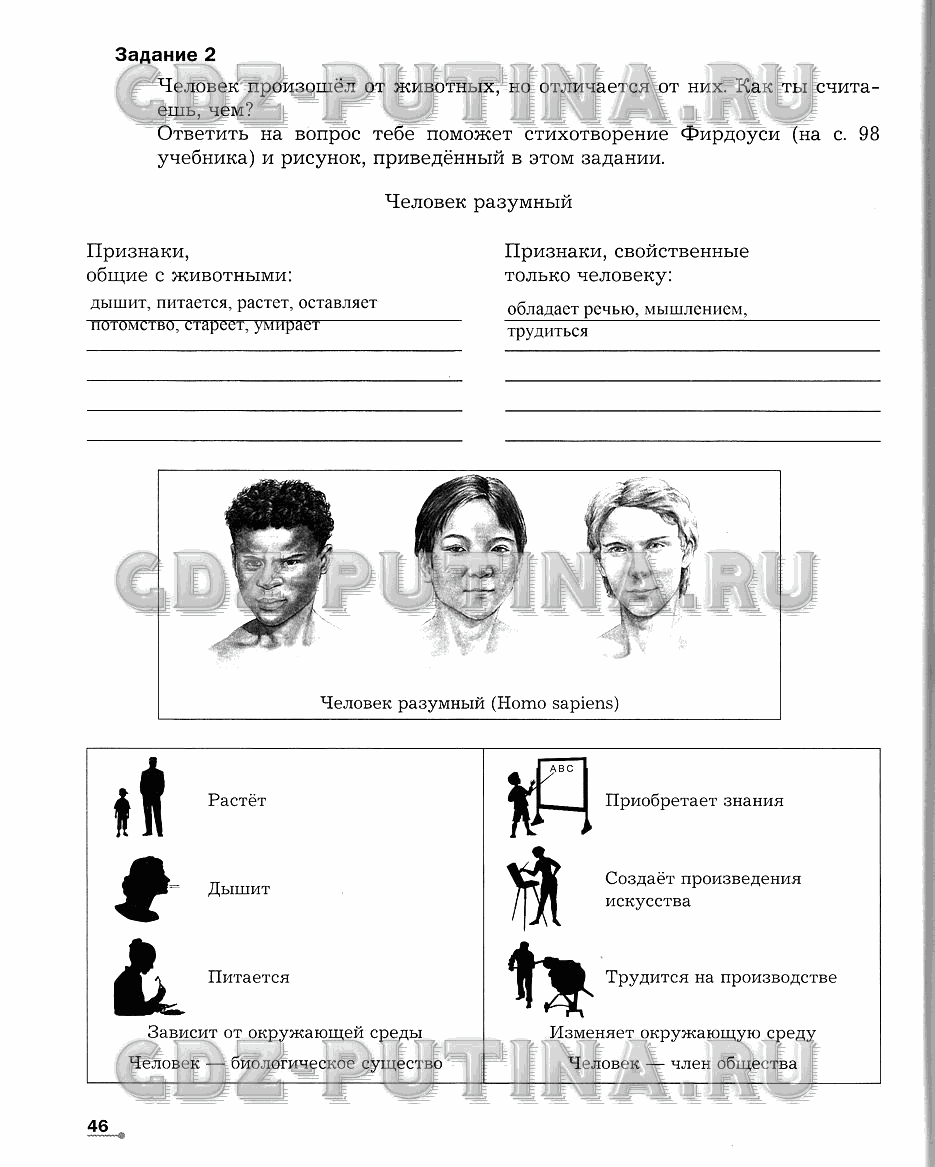 Рабочая тетрадь. Часть 2, 6 класс, Сухова Т.С., Строганов В. И., 2013 - 2015, задание: 46