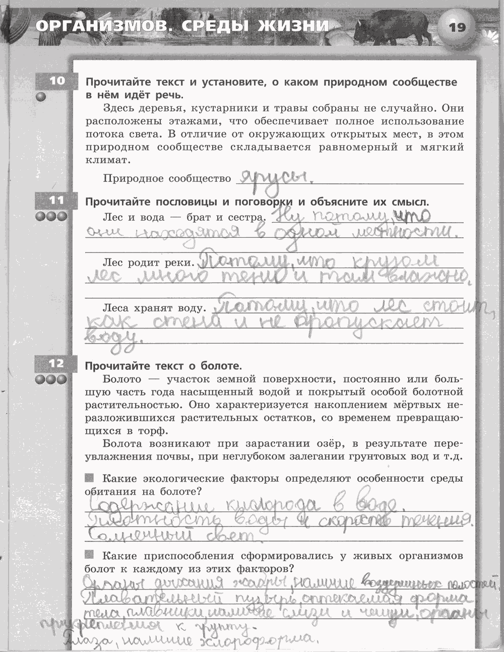 Живой организм. Тетрадь-тренажёр, 6 класс, Сухорукова Л.Н., Кучменко B.C., Дмитриева Е.А., 2013 -2016, задание: стр. 19