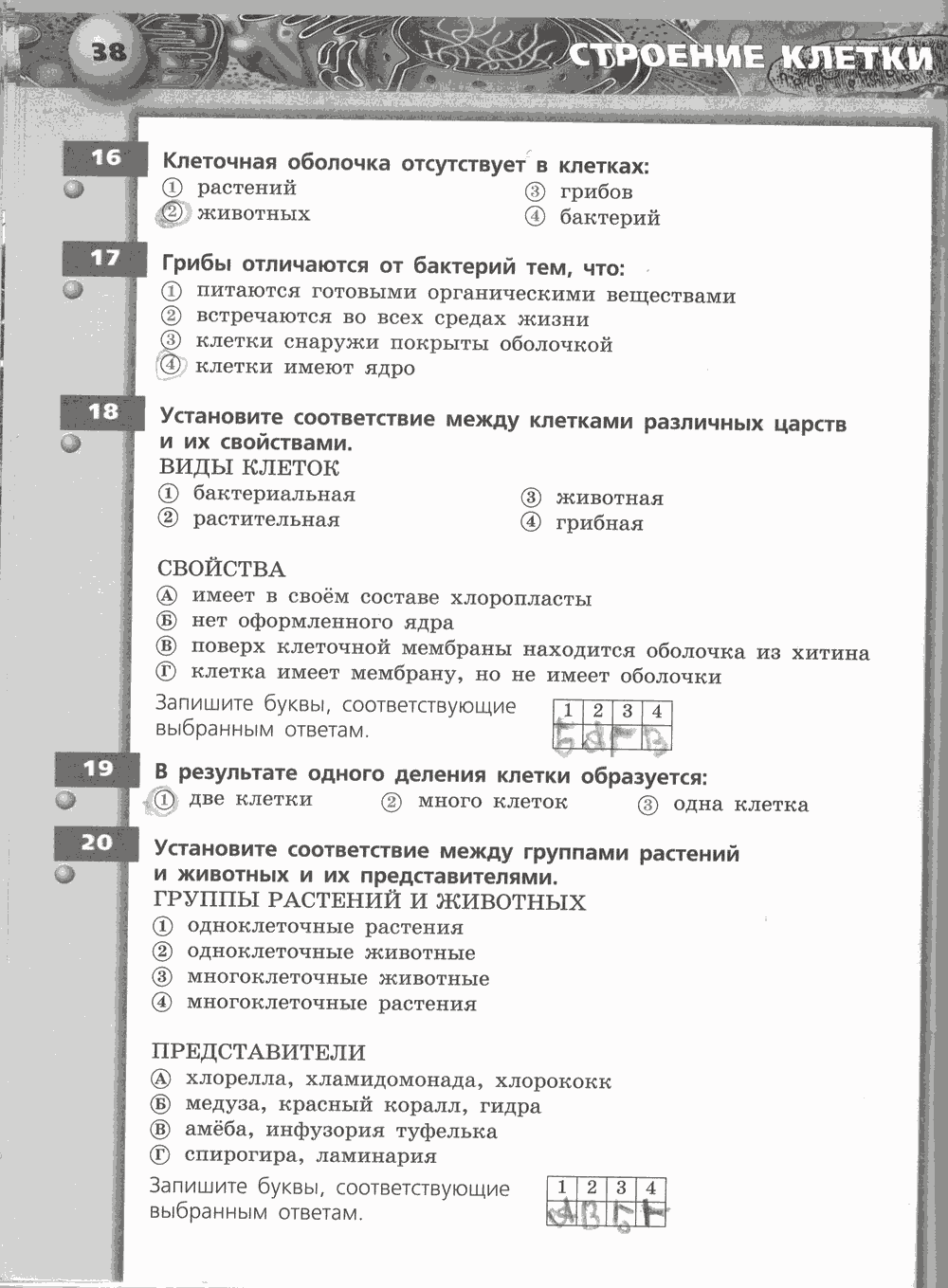 Живой организм. Тетрадь-тренажёр, 6 класс, Сухорукова Л.Н., Кучменко B.C., Дмитриева Е.А., 2013 -2016, задание: стр. 38