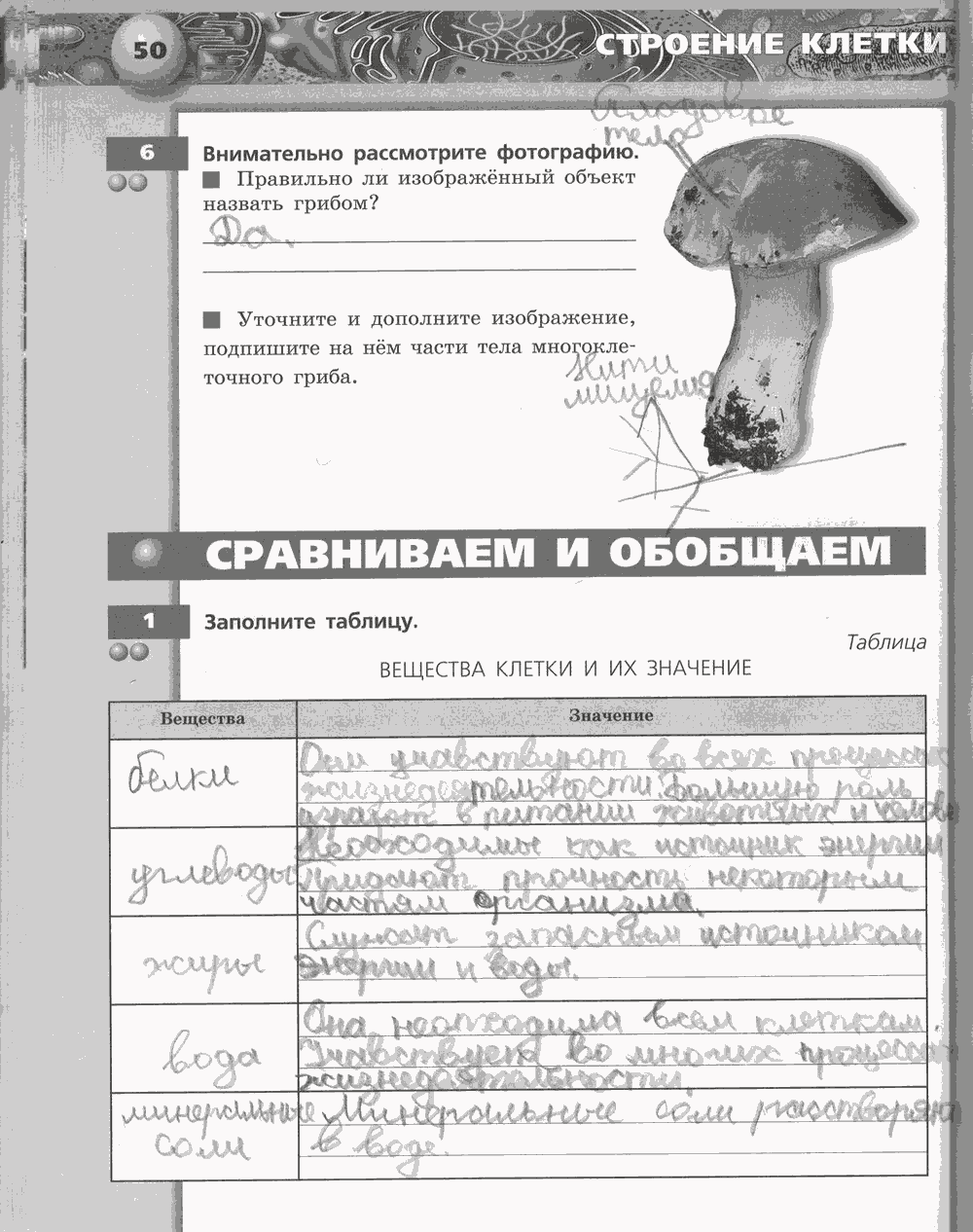 Живой организм. Тетрадь-тренажёр, 6 класс, Сухорукова Л.Н., Кучменко B.C., Дмитриева Е.А., 2013 -2016, задание: стр. 50