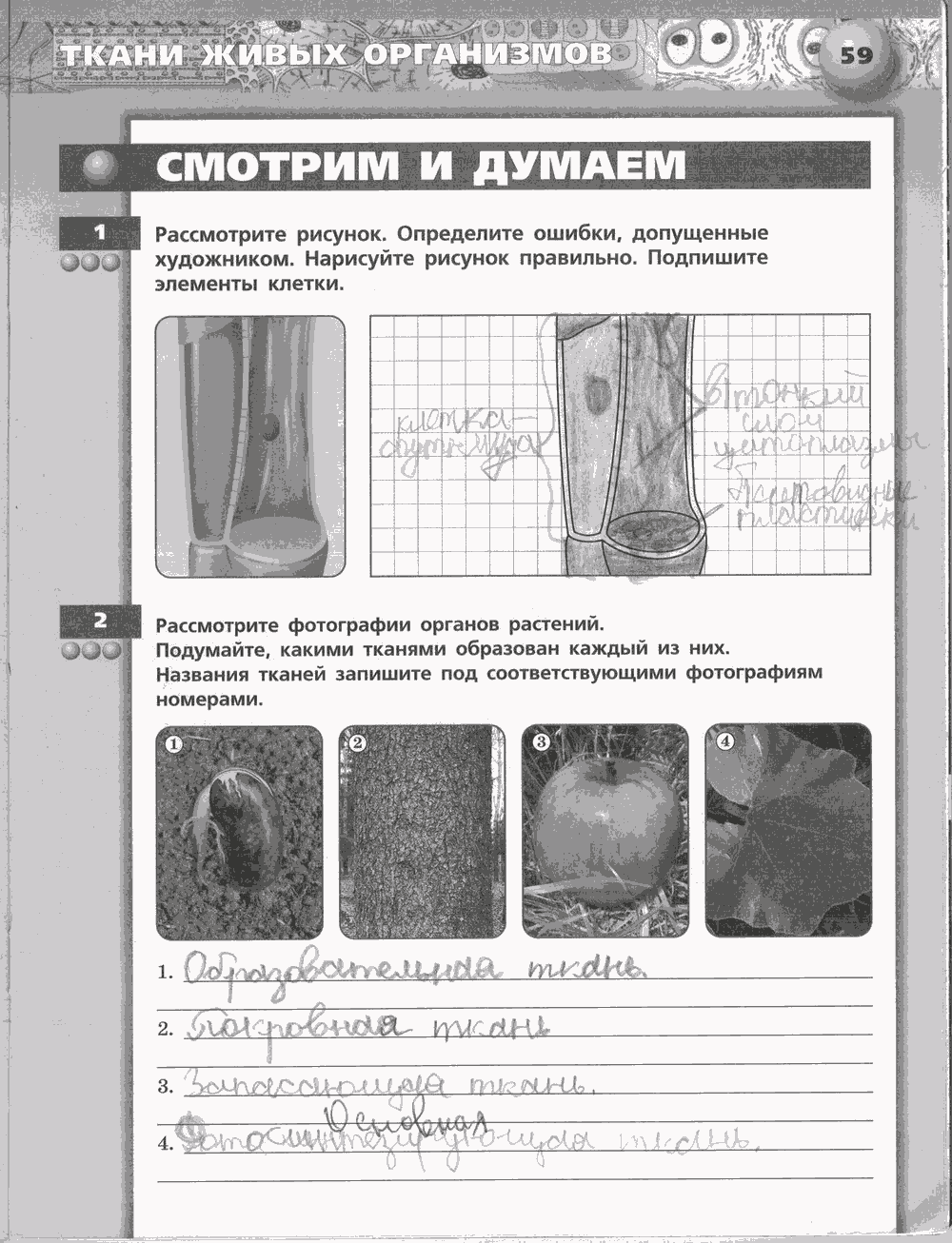 Живой организм. Тетрадь-тренажёр, 6 класс, Сухорукова Л.Н., Кучменко B.C., Дмитриева Е.А., 2013 -2016, задание: стр. 59