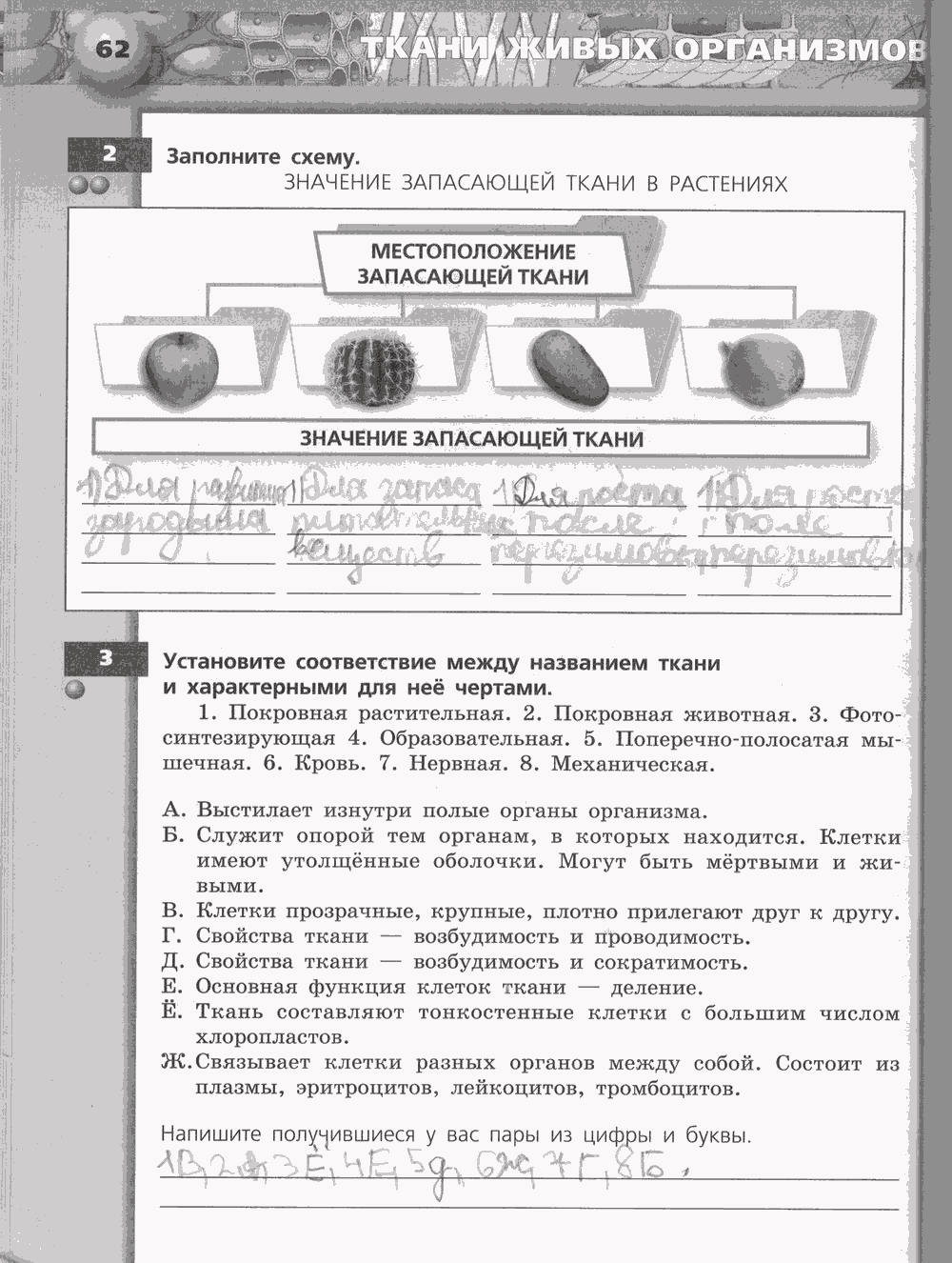 Живой организм. Тетрадь-тренажёр, 6 класс, Сухорукова Л.Н., Кучменко B.C., Дмитриева Е.А., 2013 -2016, задание: стр. 62