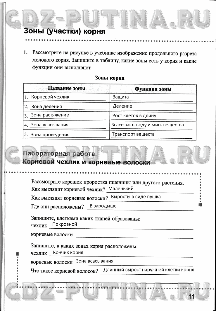 Рабочая тетрадь, 6 класс, Преображенская, 2013 - 2016, задание: 11
