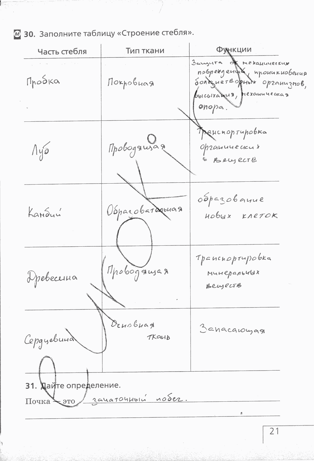 Рабочая тетрадь (с белочкой), 6 класс, Сонин Н.И., 2014, задание: стр. 21